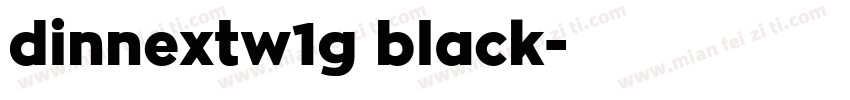 dinnextw1g black字体转换